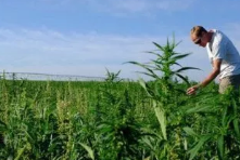 Snel en gemakkelijk e liquid kopen via het internet